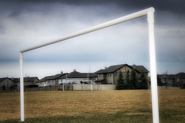 了一系列财 了一系列财