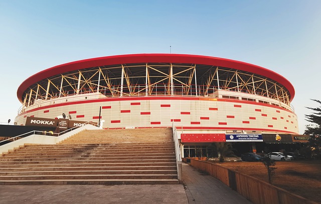 综合作用的 综合作用的