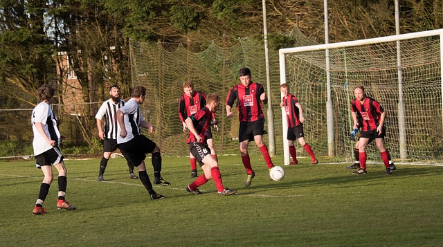 与者生活的 与者生活的