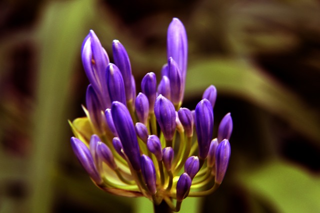 因素的完美 因素的完美