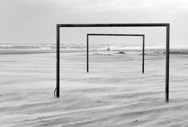 他们不仅是 他们不仅是