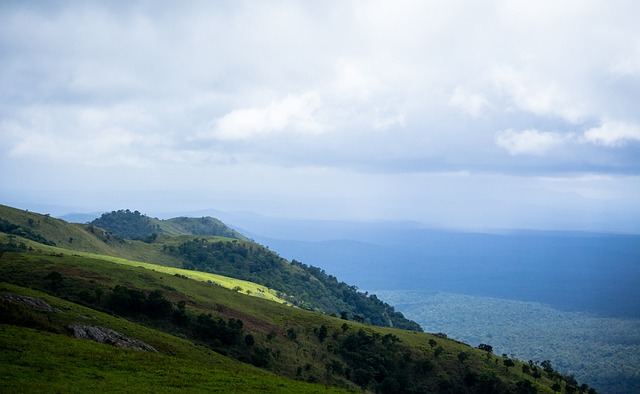 的整体表现 的整体表现