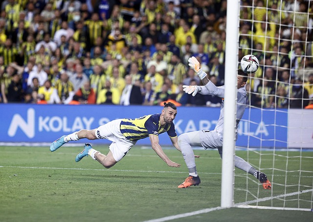 发展培养更 发展培养更