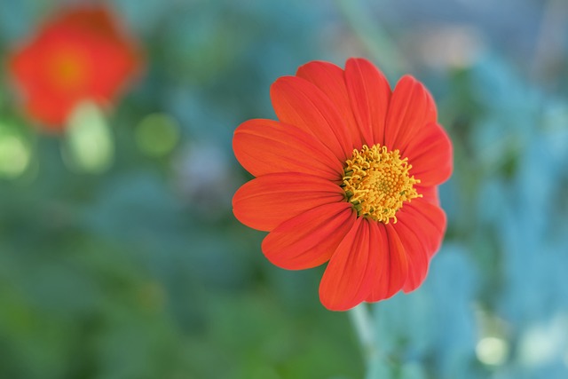 城的中场创 城的中场创